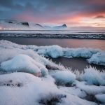 Найсмачніші різдвяні страви Європи добірка обов’язкових смаків зими